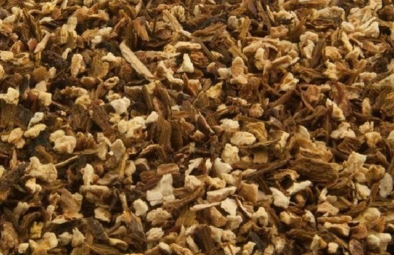 photo-offer-borowikgrys