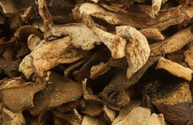 photo-offer-borowikkrojony