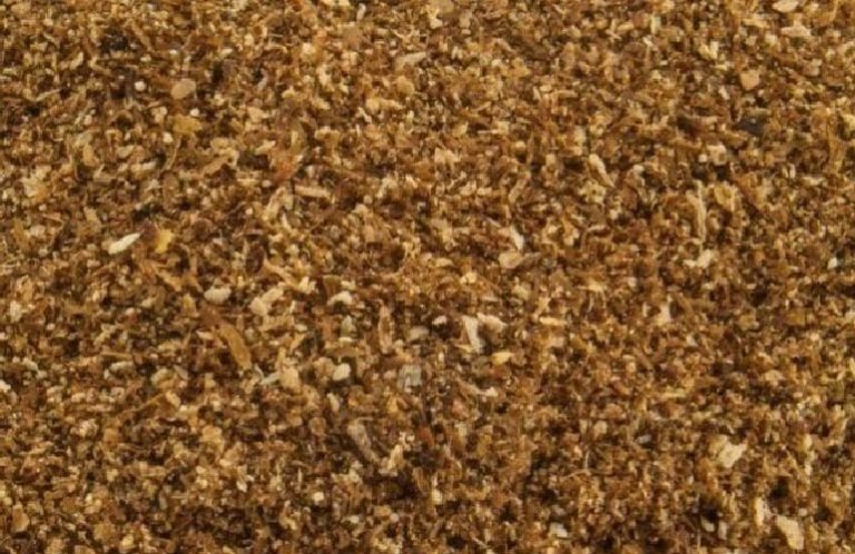 photo-offer-borowikmaka