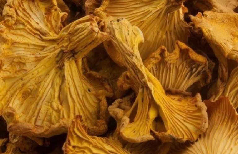 photo-offer-kurkakrojony