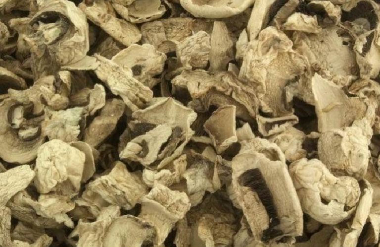 photo-offer-pieczarkabialakrojona