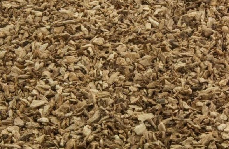 photo-offer-pieczarkagrys