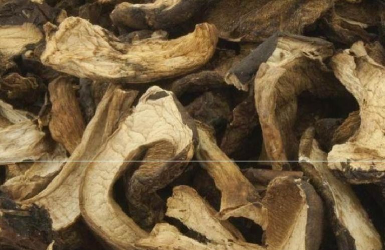 photo-offer-podgrzybekkrojony