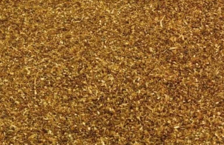 photo-offer-podgrzybekmaka